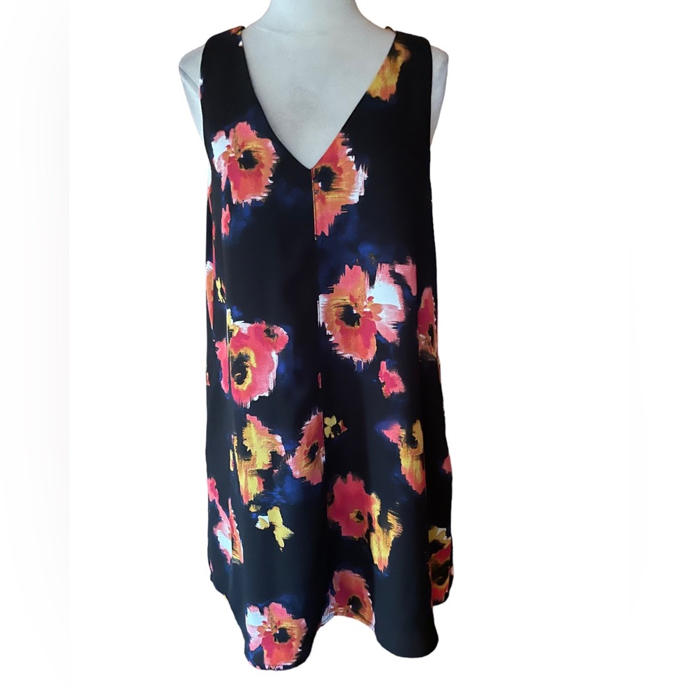 Allison Joy Floral, Lined Dress